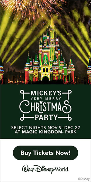 Mickeys christmas party disney world