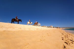A group of people riding horses on top of a sandy hill.