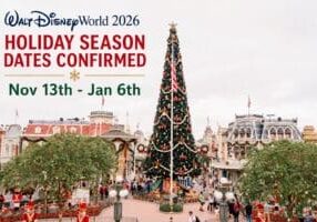 Disney World Christmas deal